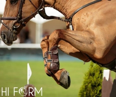 Hi Form Equine – Premium Horse Supplements