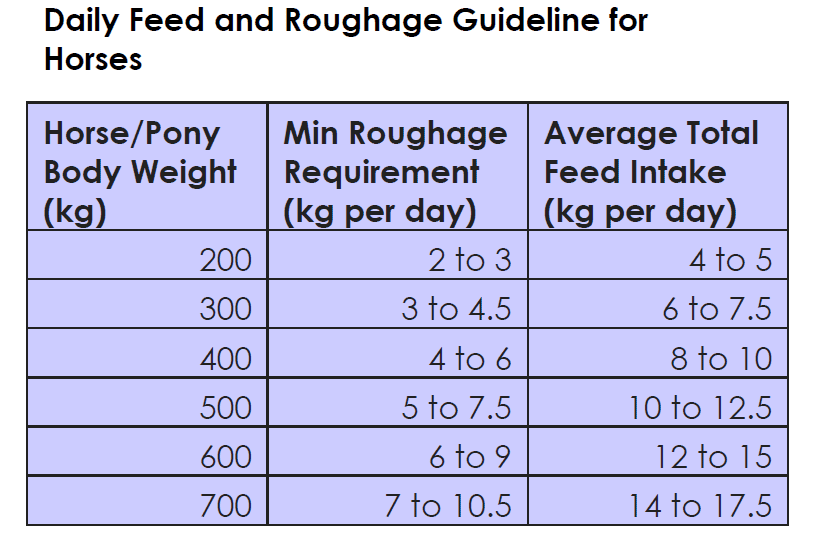 Hi Form Equine – Premium Horse Supplements