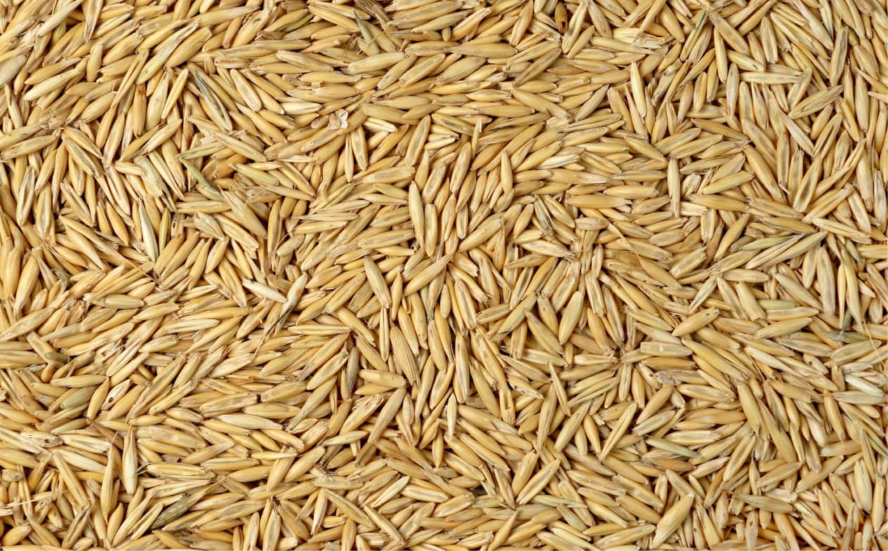 Hi Form Feeding Guide - Oats