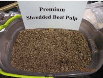 Hi Form Equine – Premium Horse Supplements