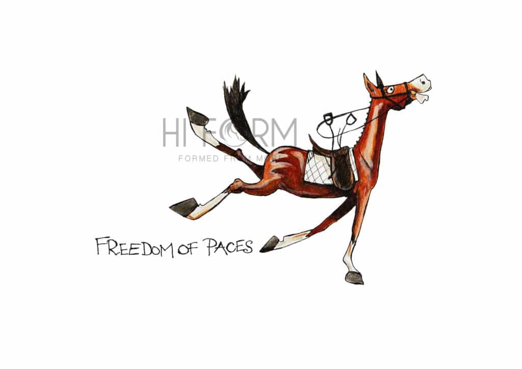 Hi Form Equine – Premium Horse Supplements