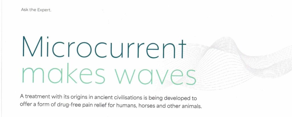 Hi Form Equine – Premium Horse Supplements