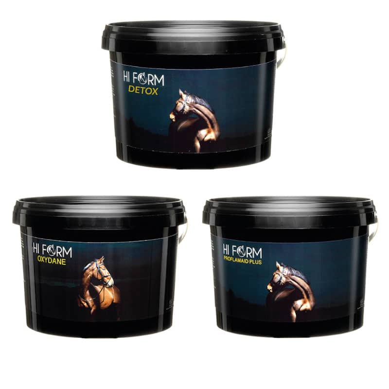 Hi Form Equine – Premium Horse Supplements