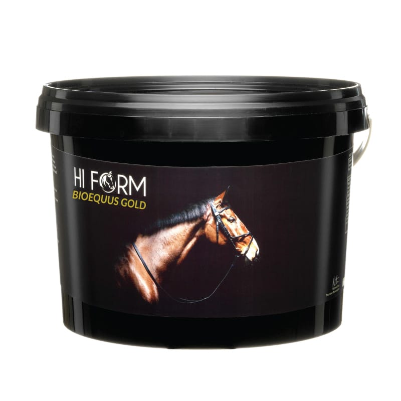 Hi Form Equine – Premium Horse Supplements