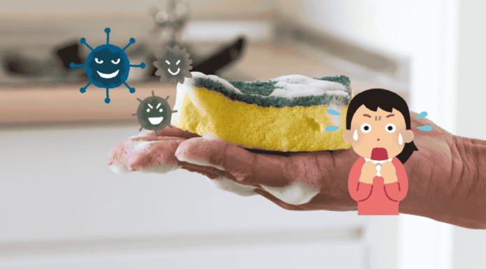 Sponge Hygiene Allergy