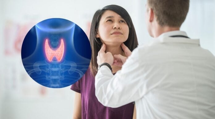 Thyroid Ultrasound Test