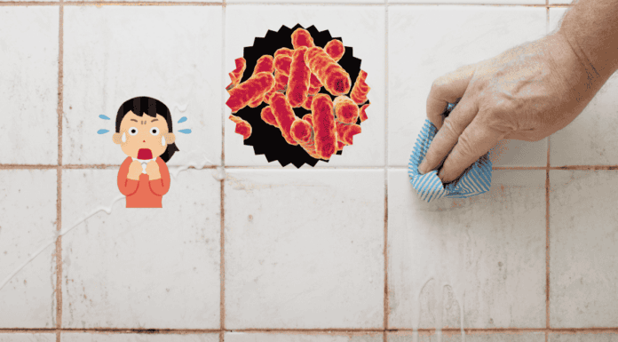 Serratia Marcescens In Bathroom