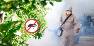 Taiwan Local Dengue Fever Case