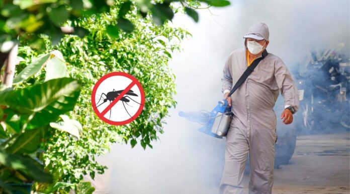 Taiwan Local Dengue Fever Case