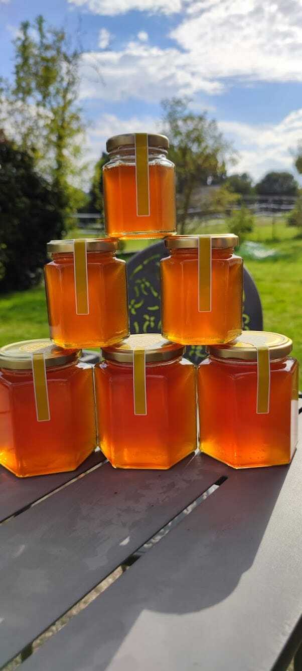 Miel de producteur local