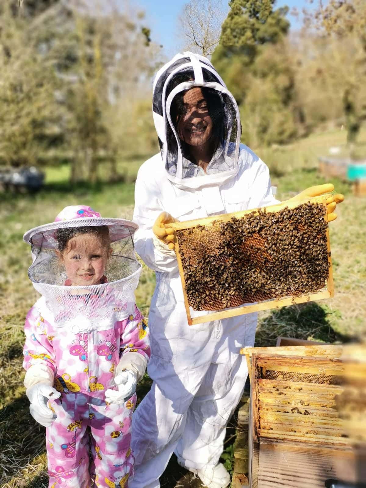 découverte et initiation à l'apiculture