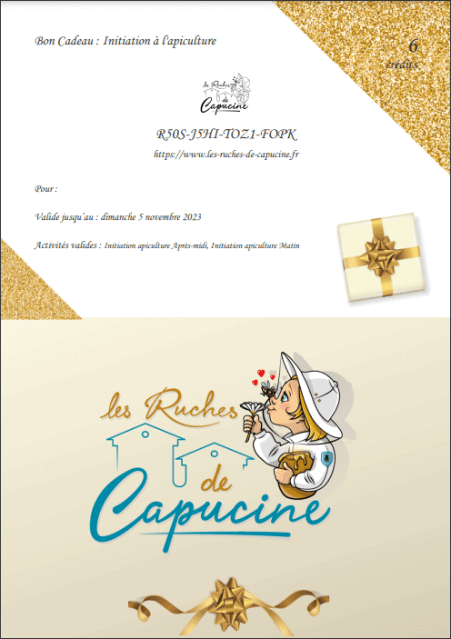 Bon cadeau enfant initiation à l'apiculture
