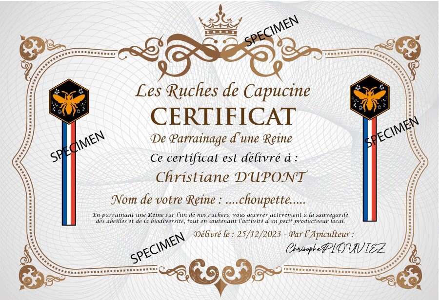 Certificat parrainage de reine