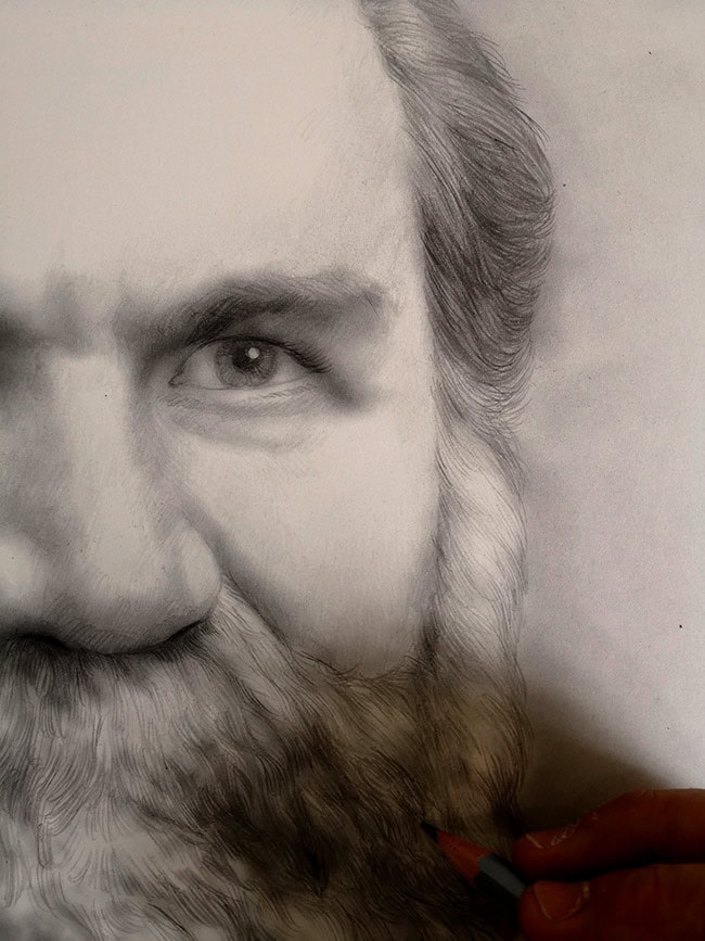 detalle del retrato a lápiz de d.d palmer quiropractico