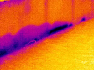 Water damage inspection in Edmonton, property inspection for real estate