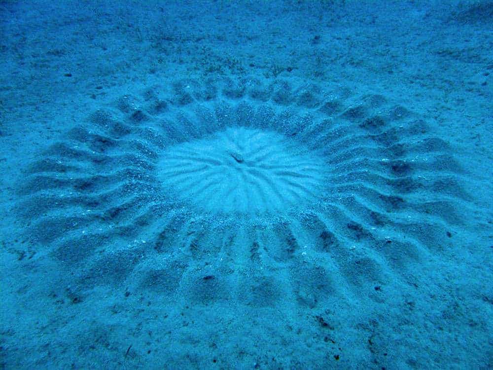 cirkel op de bodem van de zee