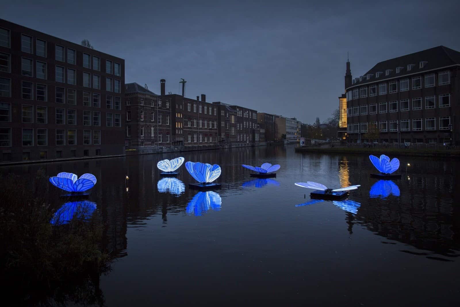 Butterfly Effect - By Masamichi Shimada - Amsterdam Light Festival 2019 - Photo Copyright Janus van den Eijnden (1)