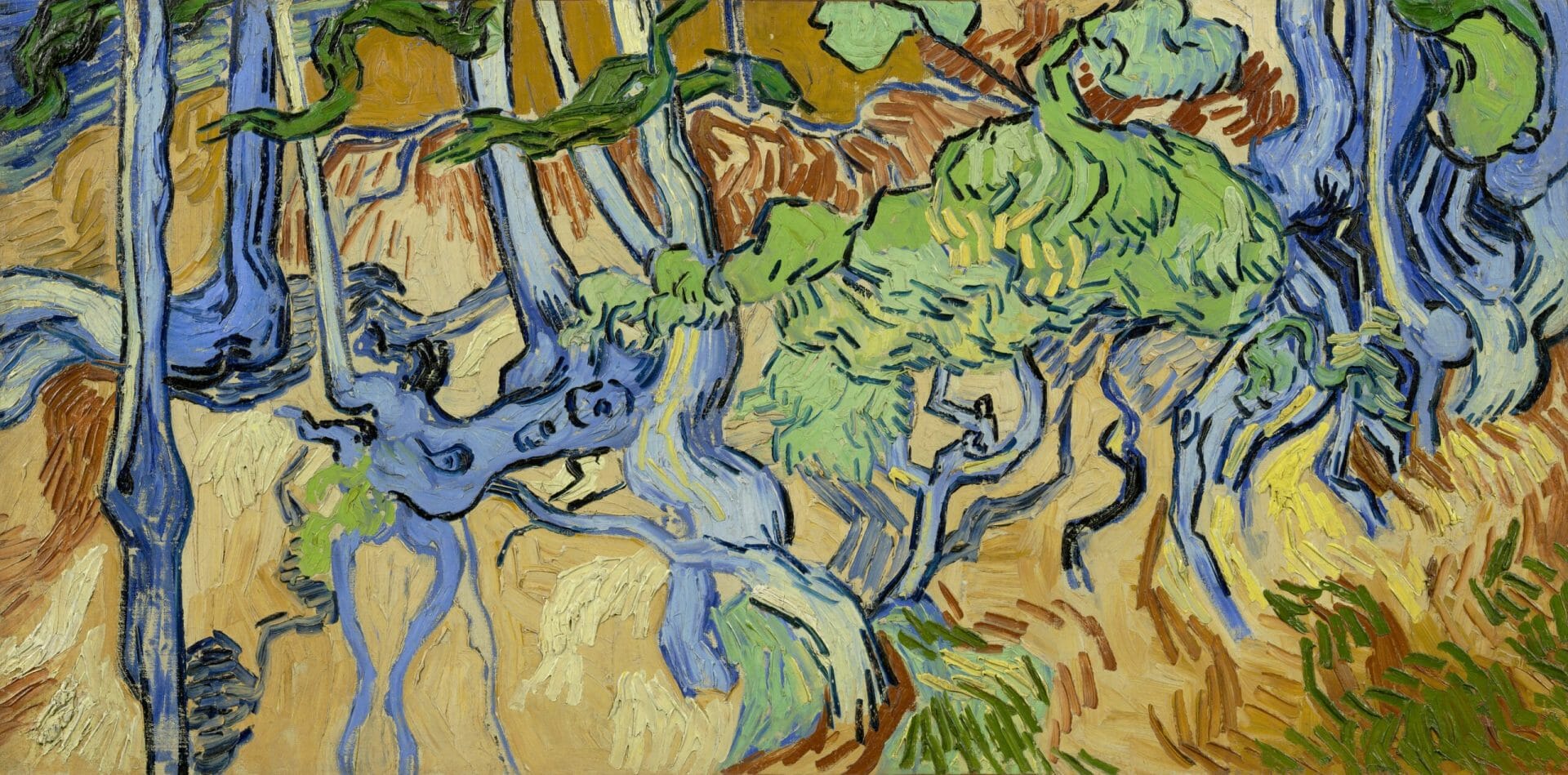 Vincent van Gogh, Boomwortels, Auvers-sur-Oise, 1890, olieverf op doek, 50,3 cm x 100,1 cm, Van Gogh Museum, Amsterdam (Vincent van Gogh Stichting)