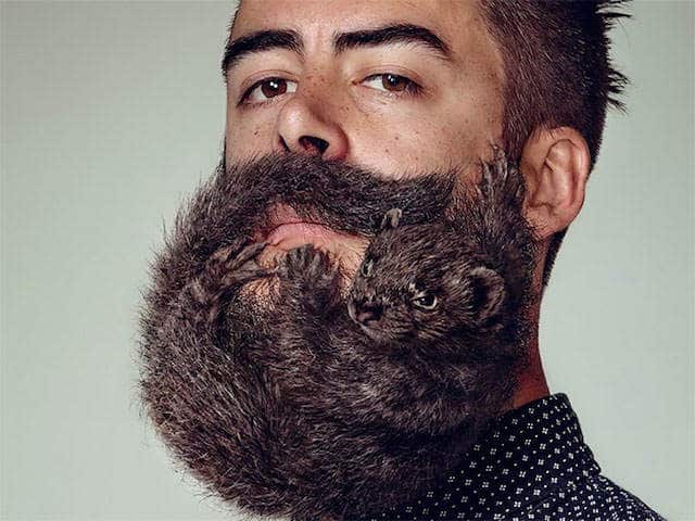 beestachtige baard
