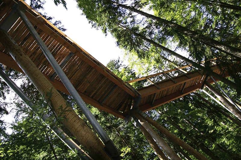 worlds longest tree top walk bavarian forest national park baumwipfelpfad 9