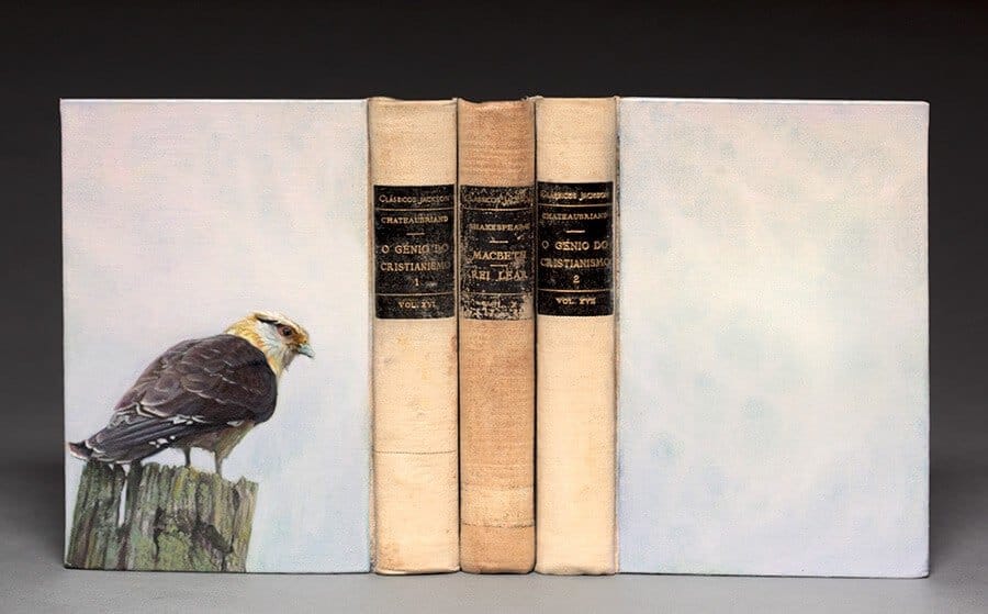 boek over vogels