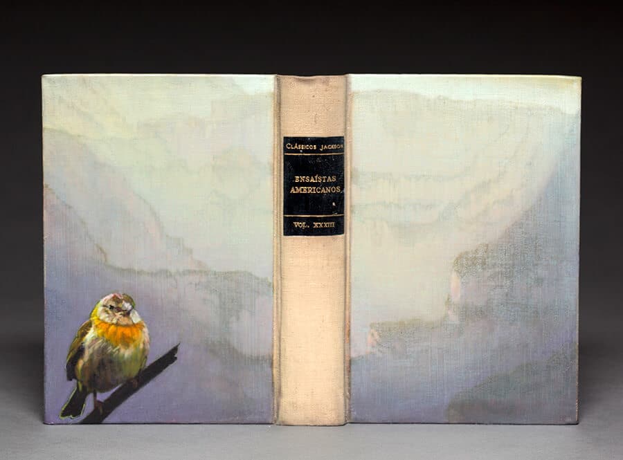 boek over vogels