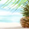A-Tropical-Delight-Homemade-Pineapple-Sorbet-featured-image-200x600w-jpeg-two-pineapples-with-beach-and-sea-as-backdrop-frosted-fusions