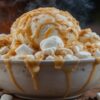 Smores-Homemade-Ice-Cream-Recipe-Ideas-featured-image-Bowl of Smores-ice-cream-with-graham-crackers-toasted-marshmallows-and-chocolate-sauce-frosted-fusions