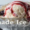 Homemade Ice Cream On A Budget – Delicious Frozen Treats For Less Featured Image 637x1920w bowl of vanilla ice cream topped with blackberries and coulis Frosted Fusions