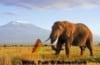 The Best of 7 Days Kenya Safari Tour Value Experience