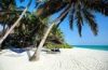 The Best Zanzibar Beach Tours and holidays in Tanzania