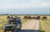 The Best Value 3-Day Amboseli Safari Tour in Kenya