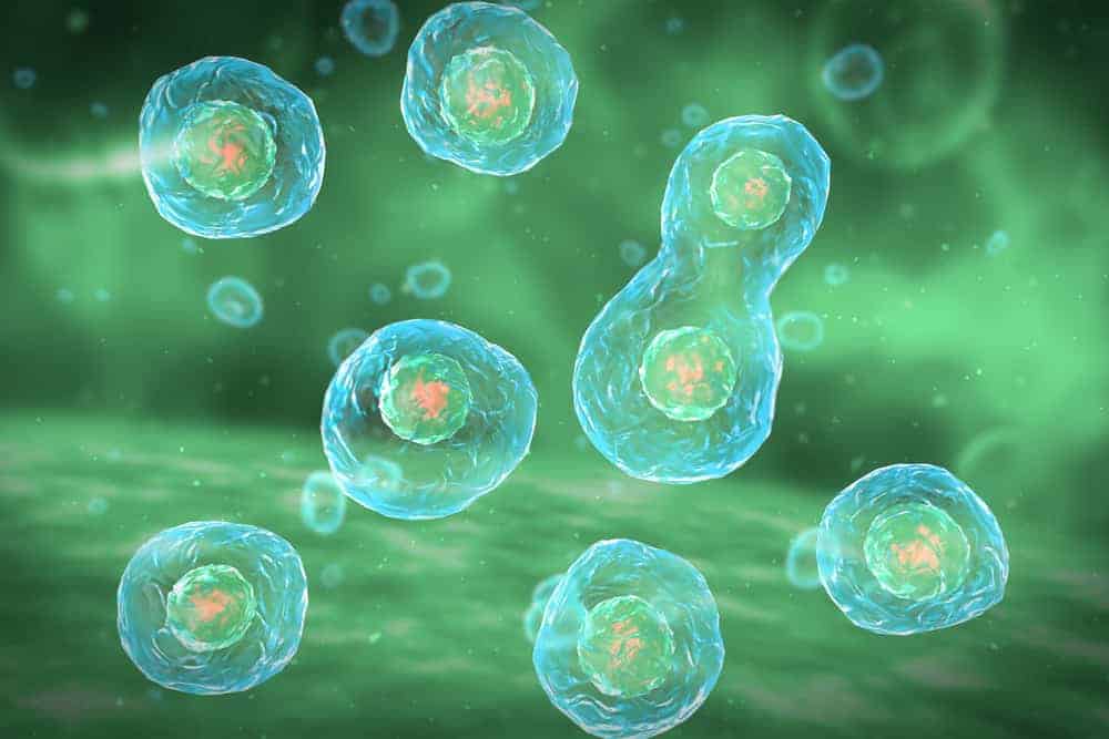 Micro f - cell libraries