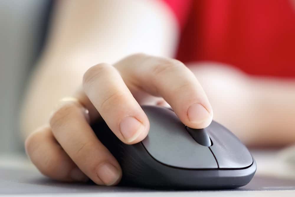 Mouse - mouse view controls