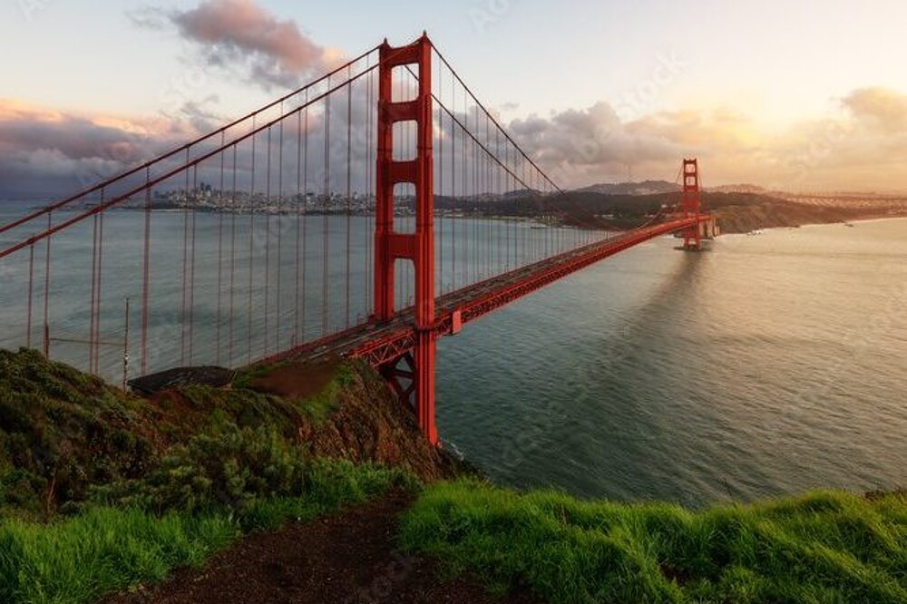 AdobeStock_133852922_Preview