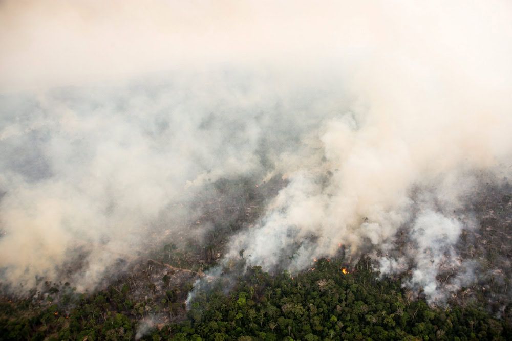 Incendies en Amazonie : Martin Kopp plaide pour une réponse internationale