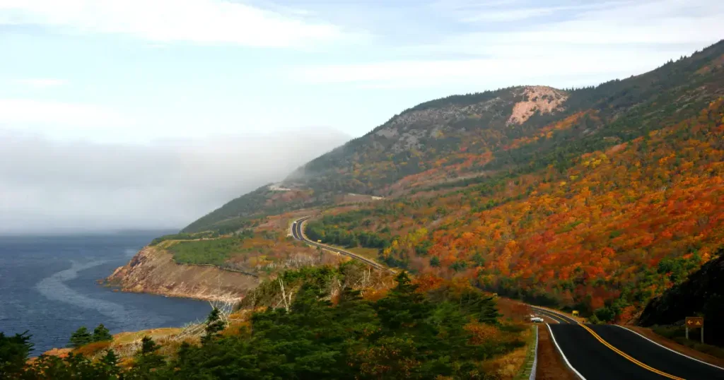 Fall Foliage Canda