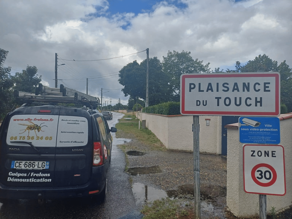 image 1 1024x768 - Plaisance-du-Touch : une école de musique fermée à cause des frelons asiatiques, la mairie espère une réouverture rapide