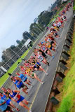 Sandown-Classic-2010_0290_2592x3872_6199000