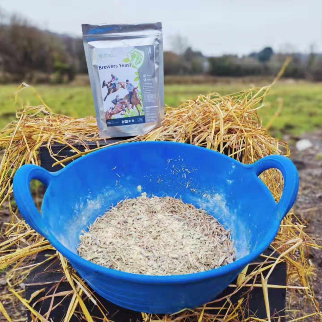 brewers yeast