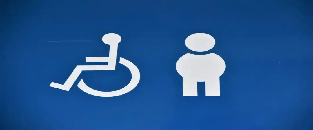 Accessibility Standards