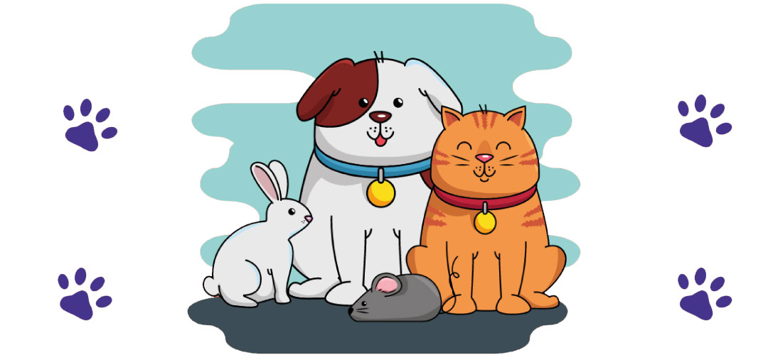 QrMono How Can You Keep Your Pet Safe Blog Banner