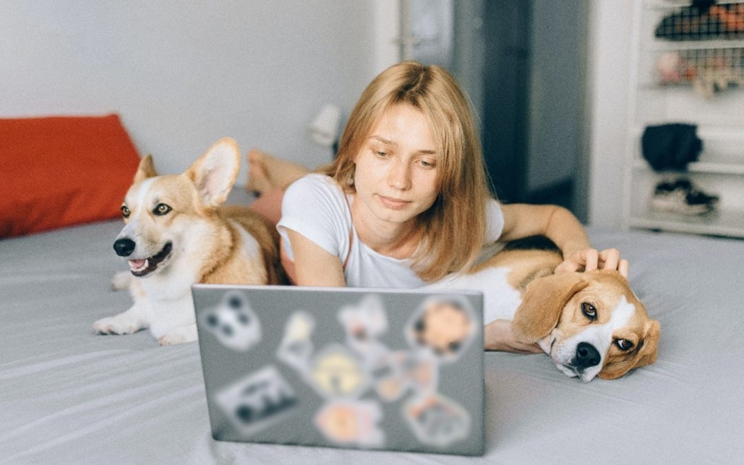 3 Tips to Avoid Sibling Rivalry and Canine Aggression