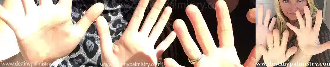 image by Sari Puhakka, predict marital compatibility, true power of palm reading