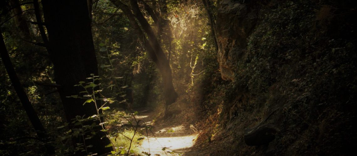 communicatie met de andere wereld-mistiek