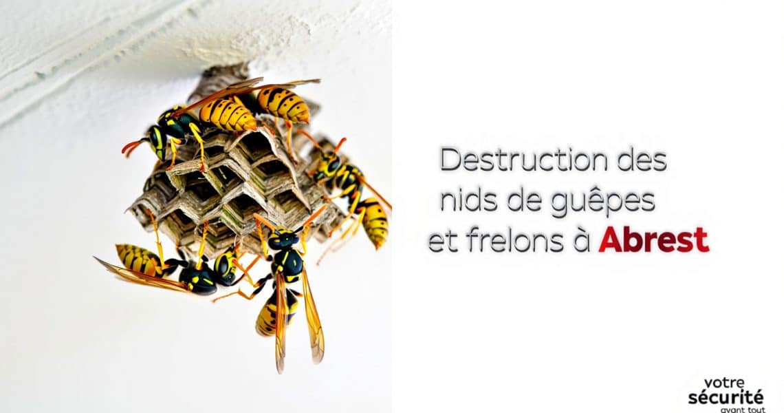 Destruction des nids de gu&ecirc;pes et frelons &agrave; Abrest, 03200