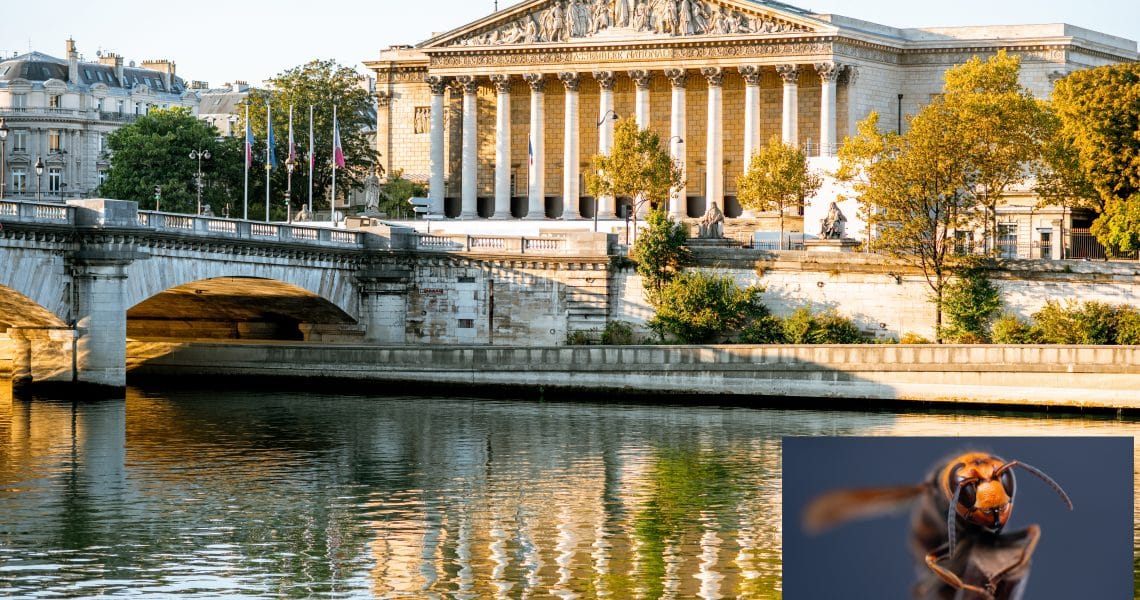Loi frelons asiatiques 6 mars 2025 Assemblée Nationale