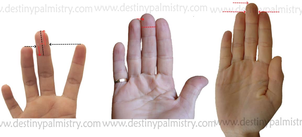 middle finger length palmistry