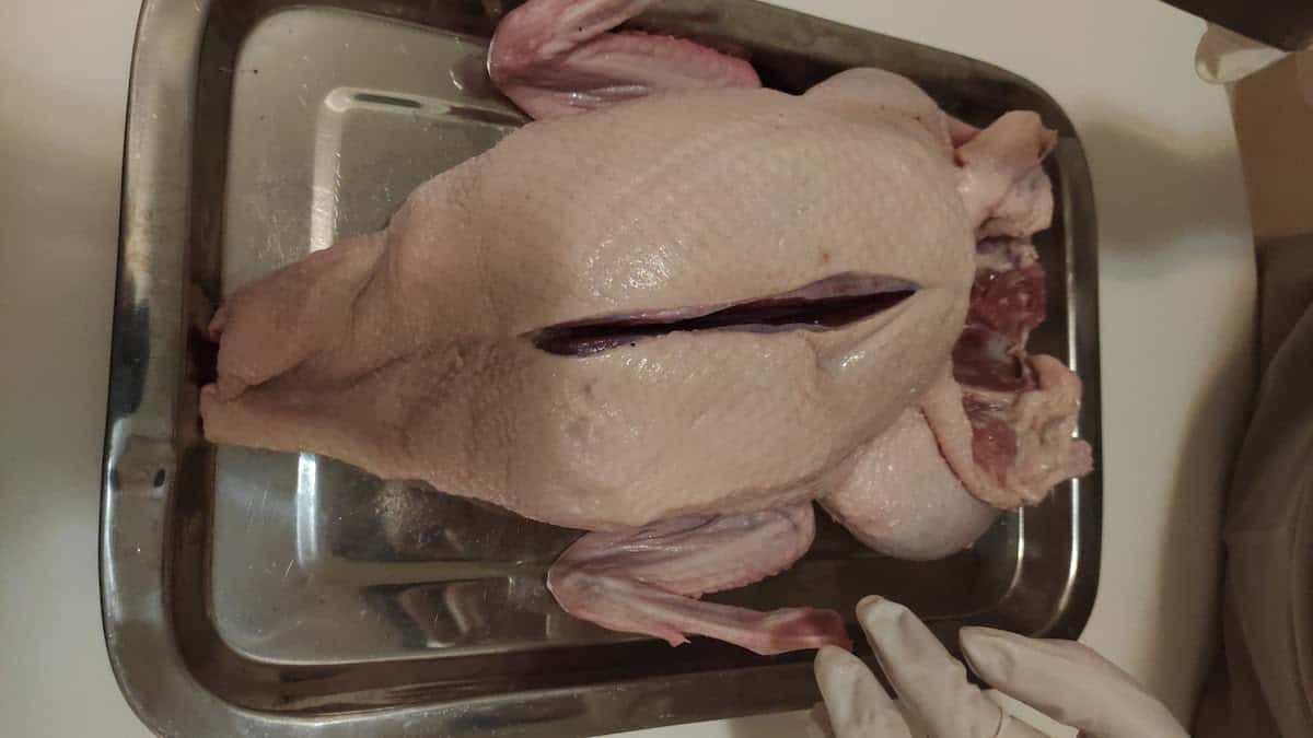 Duck with a slit down the centre.