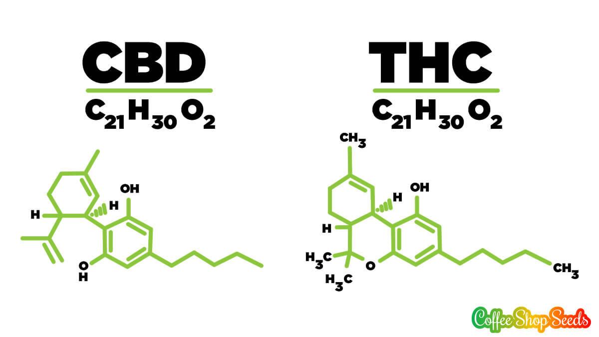 CBD & THC Molecular Structure